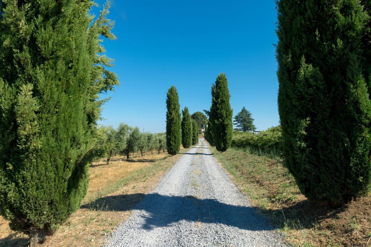 Il Raggio Di Sole Βίλα Bagnoregio Εξωτερικό φωτογραφία